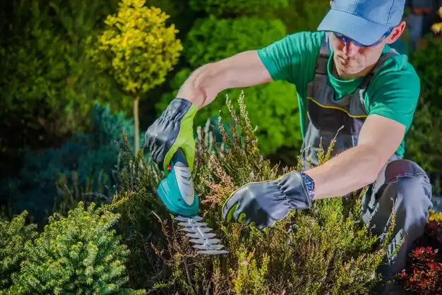 landscaping services South Portland